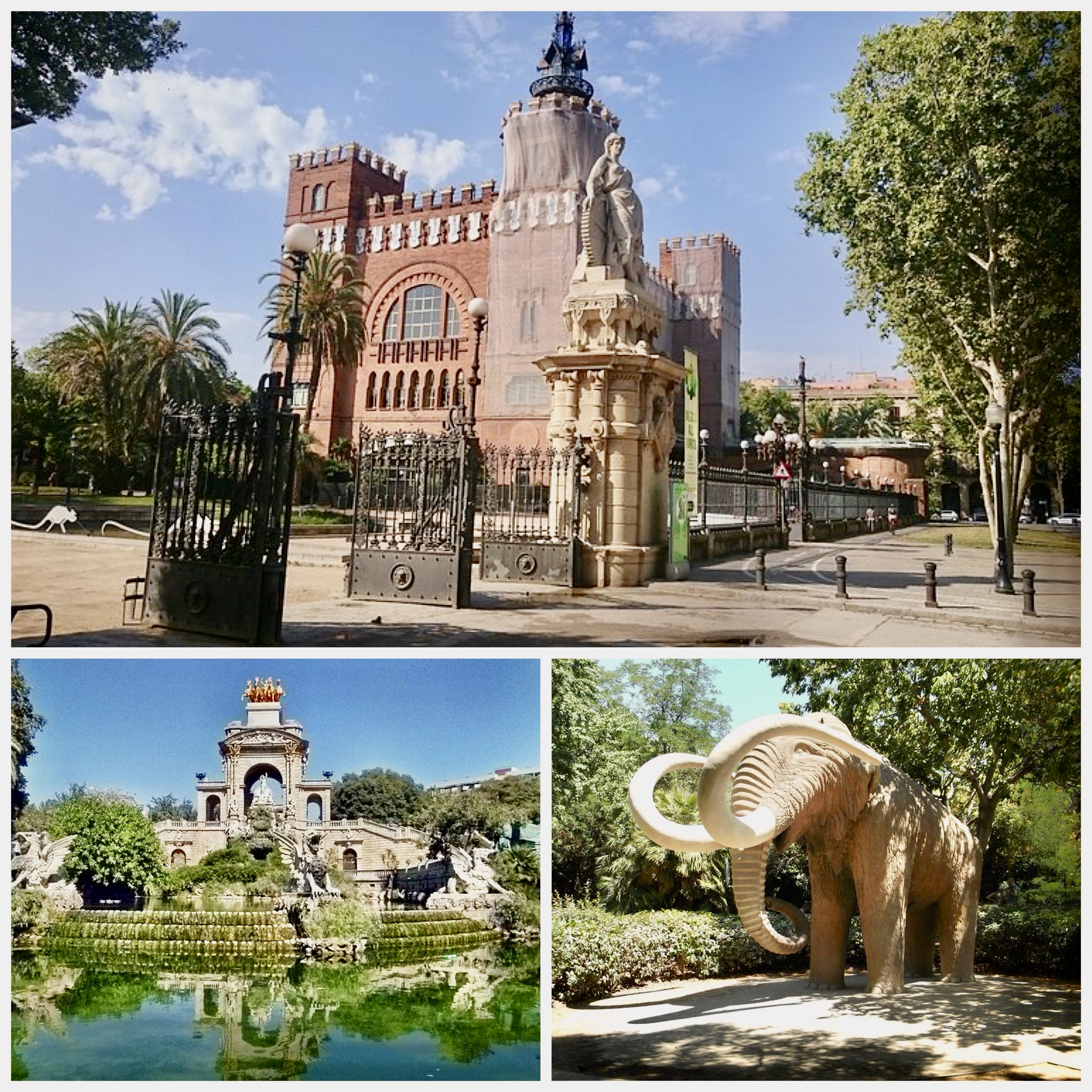 Citadella Park